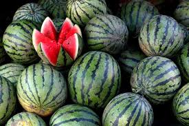 Berwarna putih, dan ada juga merwarna merah, tersktur lunak dan segar. Tembikai 57 Gambar Ini Adalah Buah Atau Buah Kandungan Kalori Dan Faedah Diet Tembikai Di Mana Tumbuhan Terbesar Di Dunia Tumbuh