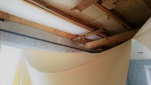 Die decken el techo archit. die decke pl.: Decke Im Altbau Erneuern Die Moglichkeiten