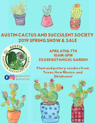Hours, address, cactus cafe reviews: Austin Cactus And Succulent Society Spring Show And Sale 365 Things Austin