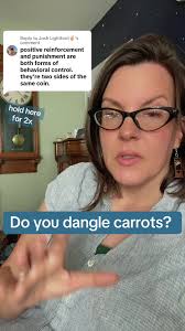 Replying to @Josh Lightfoot✌🏼 #parents #parentsoftiktok #incentive #carrot  #motivation #extrinsic #momsoftiktok #nonauthoritarianparenting  #raisingkids #skills