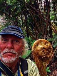 Kona parking rules confusing for visitors and locals alike