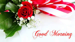 50 Most Beautiful Good Morning Images Hd 1080p Hindi Status In 2020 Good Morning Wallpaper Good Morning Images Good Morning Images Hd