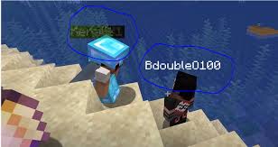 Name tags, as you might guess, allow you to name an animal or mob in minecraft. Is This Optifine Or Minecraft Visual Glitch Look At The Name Tags Hermitcraft