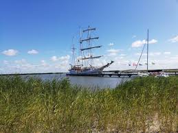 Zeil mee op zeilklipper de vriendschap op zaterdag 5 september 2020 met bestemming marker wadden. Marker Wadden An Escape To A Bird Paradise Two Around The World