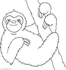 The only think that is missing in this coloring page is some color. Three Toed Sloth On The Tree Coloring Page Coloringall