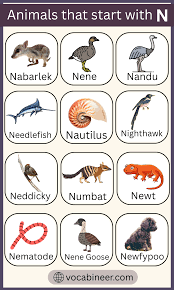 List of Animals That Begin with N in English