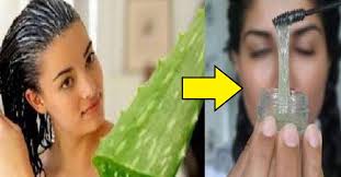 Aloe vera has been used for centuries as a remedy to soothe burns, dry skin, and as an ingredient in beauty products. Aloe Vera For Hair Benefits How To Use It And More
