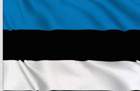 The national flag of estonia was officially adopted on august 7, 1990. Estonia Flag
