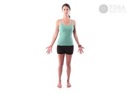 Learn how to perform it with deep detail and awareness by. Mountain Pose Tadasana Asana Instructions Photos Yoga Basics