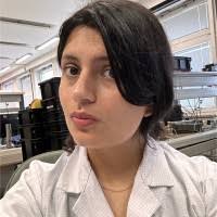 100+ "Celestine" profiles