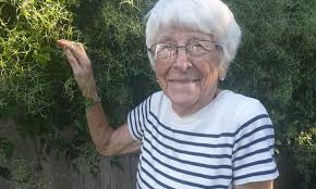 Friends of Spy Pond Park Newsletter