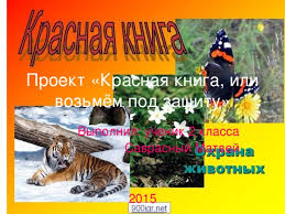 проект по окружающему миру красная книга или возьмем под защиту Proekt Krasnaya Kniga Ili Vozmyom Pod Zashitu