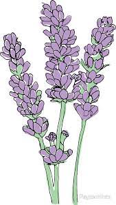 Lavender Illustration Sticker By Paytonhintz In 2021 Wildflower Drawing Flower Drawing Greeting Card Art