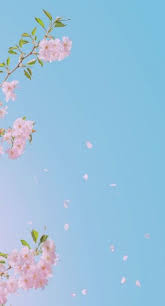 67 Ideas For Flowers Art Wallpaper Iphone Flower Phone Wallpaper Flower Wallpaper Art Wallpaper