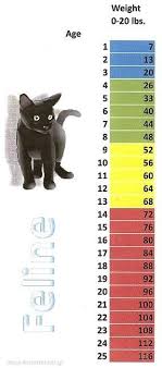 Cat Growth Chart Awesome Height And Weight And Age Chart