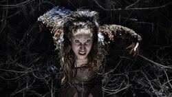 Watch premium and official videos free online. Wildhexe Film 2018 Moviepilot De