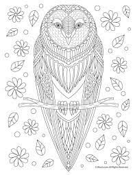 Take it according to their age so that this activity gives the right benefit for them. 270 Owl Coloring Pages For Adults Ideas In 2021 Owl Coloring Pages Coloring Pages Owl