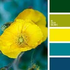 Pin Von Lina Marcela Diaz Zerrate Auf Color Pallete Gelbe Farbpaletten Farbkombination Farbinspiration
