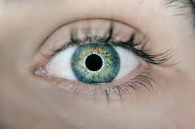See ring light stock video clips. Ring Light Pictures Download Free Images On Unsplash