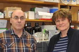 Allí se doctoró en bioquímica y con 30 años katalin kariko quería superar este obstáculo, pero nadie estaba dispuesto a financiar su empeño. Meet The Women Behind The Vaccines Helping To Find A Path Out Of The Coronavirus Pandemic Abc News