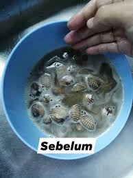 Anda cukup memasukkan pakaian ke dalam tabung mesin cuci, menambahkan detergen, dan memilih siklus yang. Susah Nak Berus Kulit Kerang Satu Satu Rendamkan Dalam Air Ini 10 Minit Dah Cuci Bersih Daily Makan