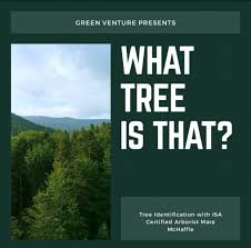 Maybe you would like to learn more about one of these? One Two Tree A Beginners Guide To Tree Identification Green Venture