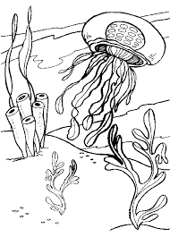 Maybe you would like to learn more about one of these? Jellyfish Colouring Page Coloring Pages Coloring Books Sea Coloring Pages