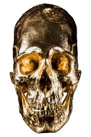 We did not find results for: Alien Skull No 2 24 Karat Gold Leaf By Kobransky 2018 Sculpture Plastic Plaster Singulart