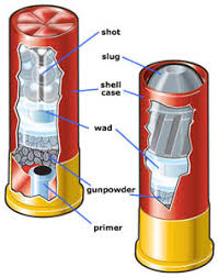 Ammunition Demystifier Shotgun Ammo The Well Armed Woman