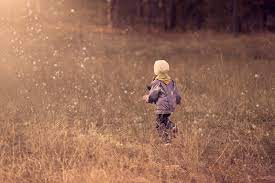 This site has a variety of stock photos you can use for your business. 60 Sites For Royalty Free Images Free Of Charge Zipbooks