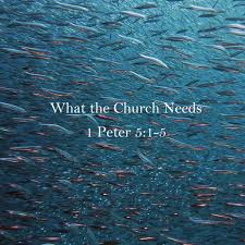 For years now, john macarthur has been helping christians in their study of the new testament, with verse by verse commentary on the theological this new testament commentary series reflects this objective of explaining and applying scripture. Sermon What The Church Needs 1 Peter 5 1 5 Sovereign Grace Church Chillicothe Oh
