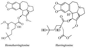 We did not find results for: Molecules Free Full Text Medicinal Plants With Anti Leukemic Effects A Review Html
