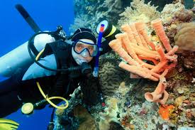 Planning Trip For Scuba Diving In Indonesia