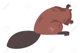 Cute Brown Beaver Licking Paw, Wild Rodent Animal Cartoon Vector  Illustration Royalty Free SVG, Cliparts, Vectors, and Stock Illustration.  Image 169796990.