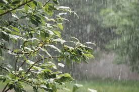 पछुआ हवाओं के कारण दक्षिण भारत में भारी बारिश, उत्तर के इन राज्यों में सर्दी की दस्तक