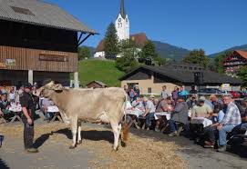 Die mitglieder treffen sich regelmässig, um wissen und erfahrungen aus den laufenden projekten projekte, die von innovage teams beraten werden, stammen aus den verschiedensten gesellschaftlichen bereichen. Aktuelles Vieh Aus Der Zentralschweiz