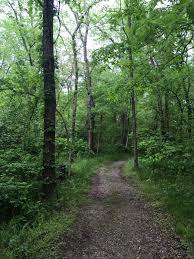 Parma Woods Parkville Mo Country Roads Photo Tranquility