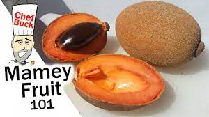 The flesh is salmon pink to bright red in color and is soft and smooth in texture. Mamey Fruit How To Mamey Sapote Youtube