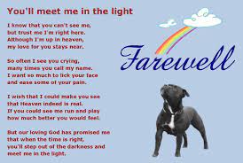 Children, in particular, are attached to fish as pets, so when one crosses over, it can be hard. Pin On Dogs
