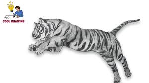 How do you draw a tiger head? Drawing A Tiger Cool Drawing Idea
