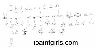 Learn how to draw anime noses pictures using these outlines or print just for coloring. How To Draw A Nose Easy Anime Learn How To Draw