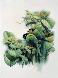 Artodyssey Zeng Xiao Lian động Vật Bướm Chim Choc