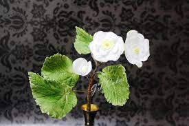 Sugar Begonias Cakesdecor Sugar Flowers Gum Paste Flowers Edible Flowers