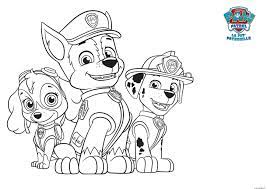 Coloriage Pat Patrol Paw Pat Patrouille Dessin Pat Patrouille à imprimer