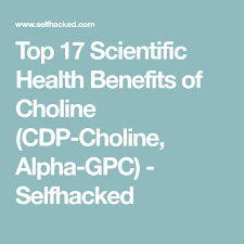 Top 17 Scientific Health Benefits Of Choline Cdp Choline Alpha Gpc Selfhacked Choline Health Benefits Alpha Gpc