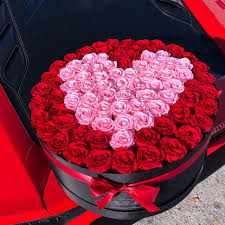 Check spelling or type a new query. Roses That Last A Year Vitalcute