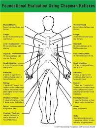 Chapman Reflex Points List Google Search Chapman Reflexes Acupuncture Points