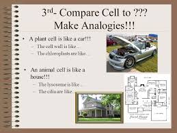 We did not find results for: Cell Structure And Function Ppt Video Online Download