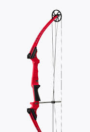 Bows Genesis Bow