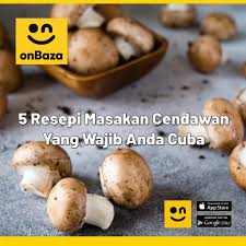 Cendawan membekalkan banyak khasiat terhadap kesihatan dan ada beberapa jenis cendawan yang mempunyai nilai tinggi serta dihidangkan cendawan enoki, cendawan truffle, cendawan butang, shitake, kulat kukur dan banyak lagi. Onbaza Ada Yang Mencari Resepi Cendawan Cendawan Facebook